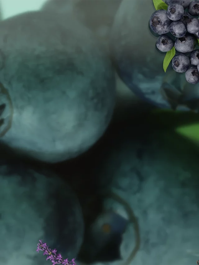 Relaxform – Routine de nuit