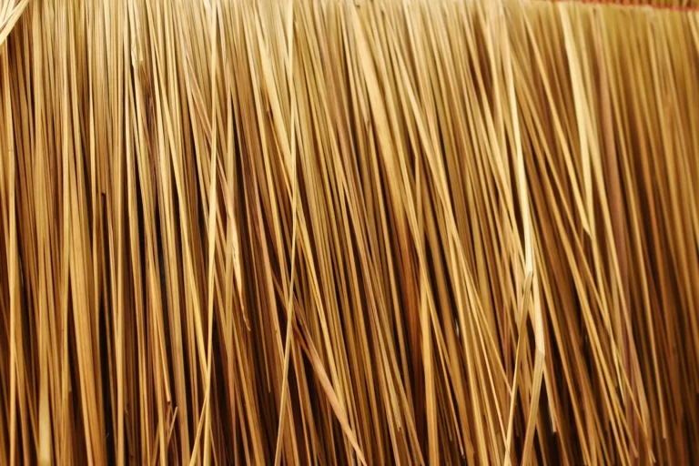 Texture vegetale evoquant la fibre d acacia ingredient naturel riche en fibres solubles