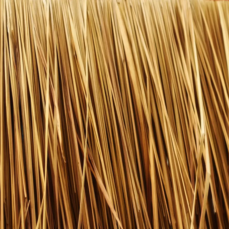 Fibre d’acacia Fibregum™ – Bienfaits, tolérance et avis